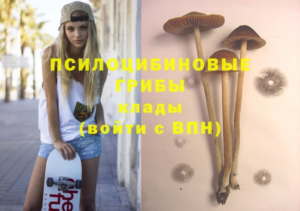 экстази Горняк