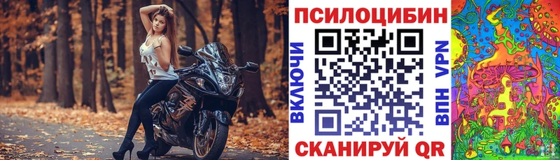 Псилоцибиновые грибы Psilocybe  Купить закладки  Скопин 